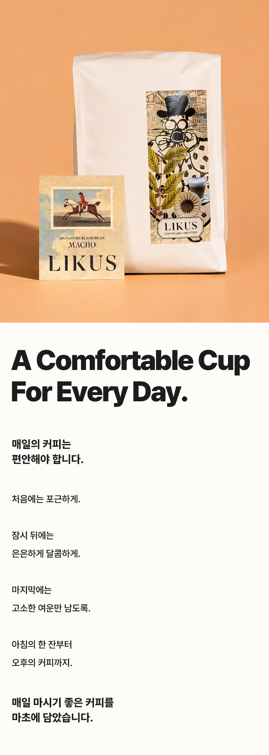 [COFFEE BEAN] 마초 1kg