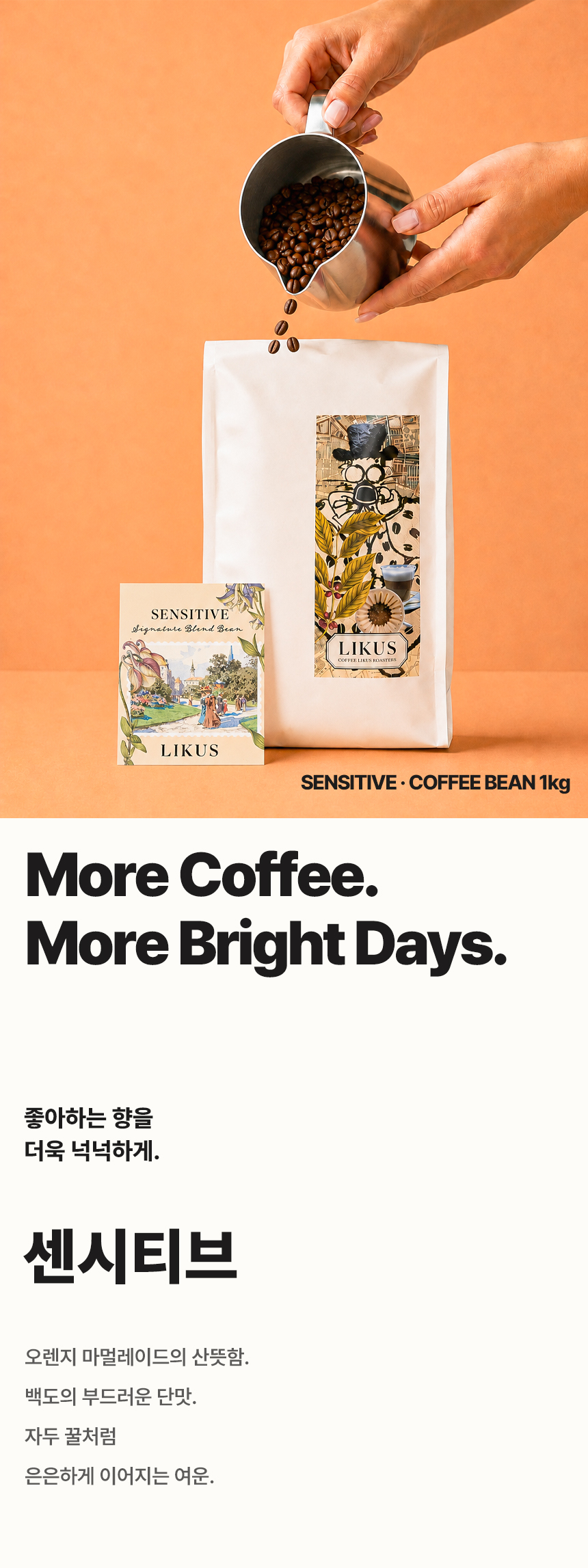 [COFFEE BEAN] 센시티브 1kg