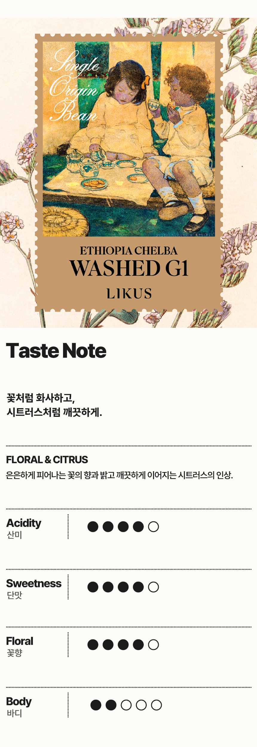 [DRIP BAG] 에티오피아 첼바 워시드 G1 26 PACK (12g × 26)