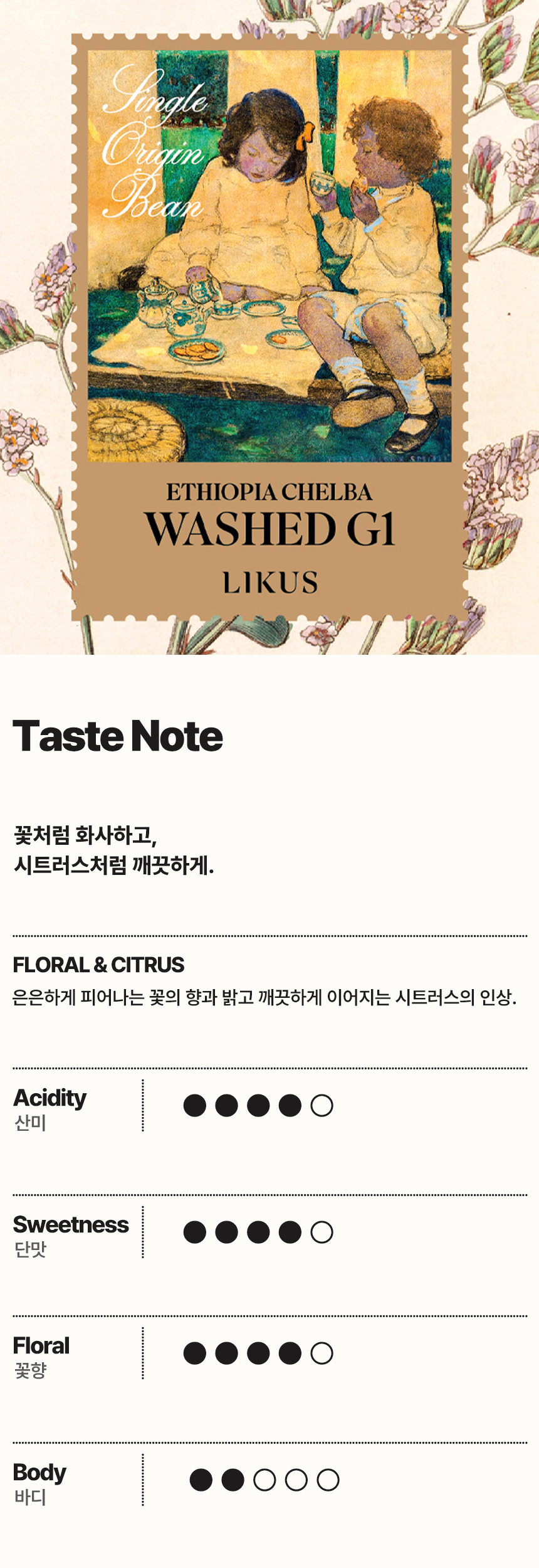 [DRIP BAG] 에티오피아 첼바 워시드 G1 7 PACK (12g × 7)